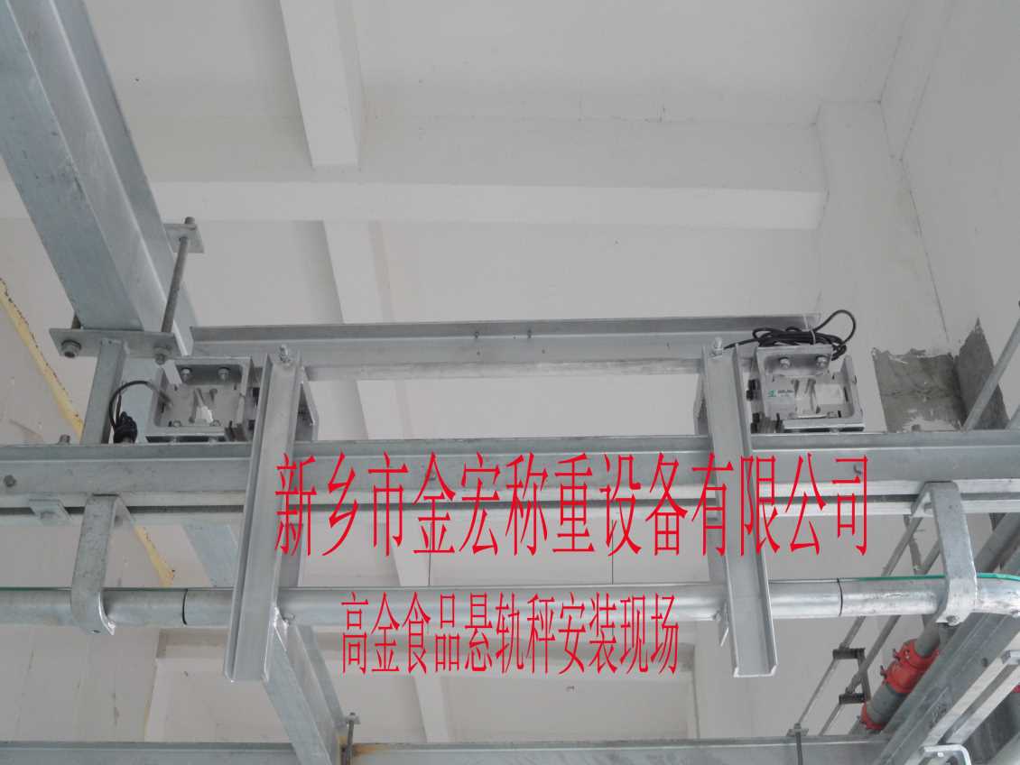 邯郸电子悬轨秤